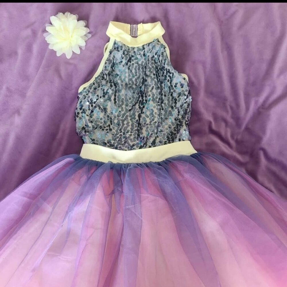 Large child ballet dance tutu costume dress